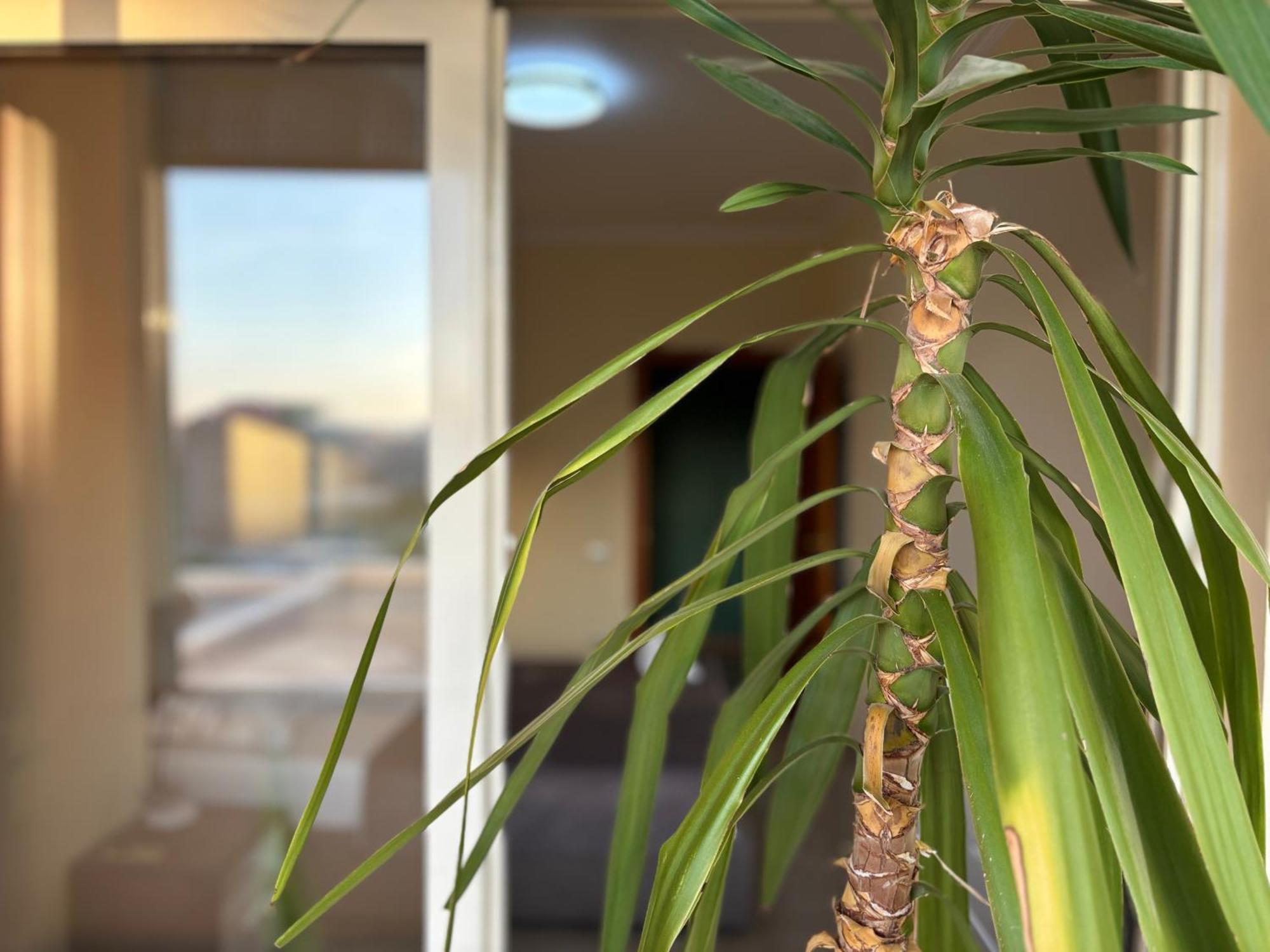 טיראנה Tam 2Bdr Center Taiwan Apartment מראה חיצוני תמונה