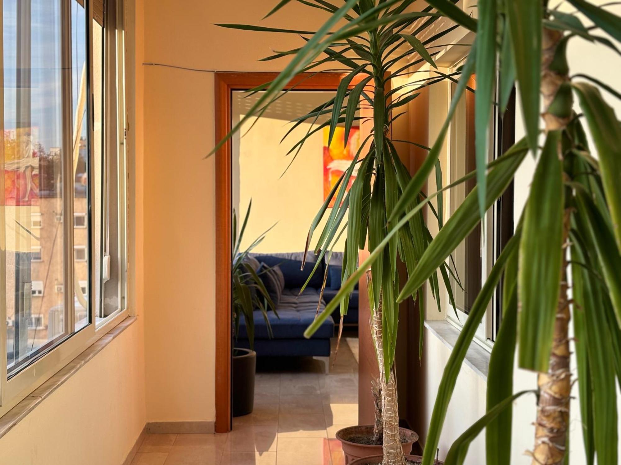 טיראנה Tam 2Bdr Center Taiwan Apartment מראה חיצוני תמונה