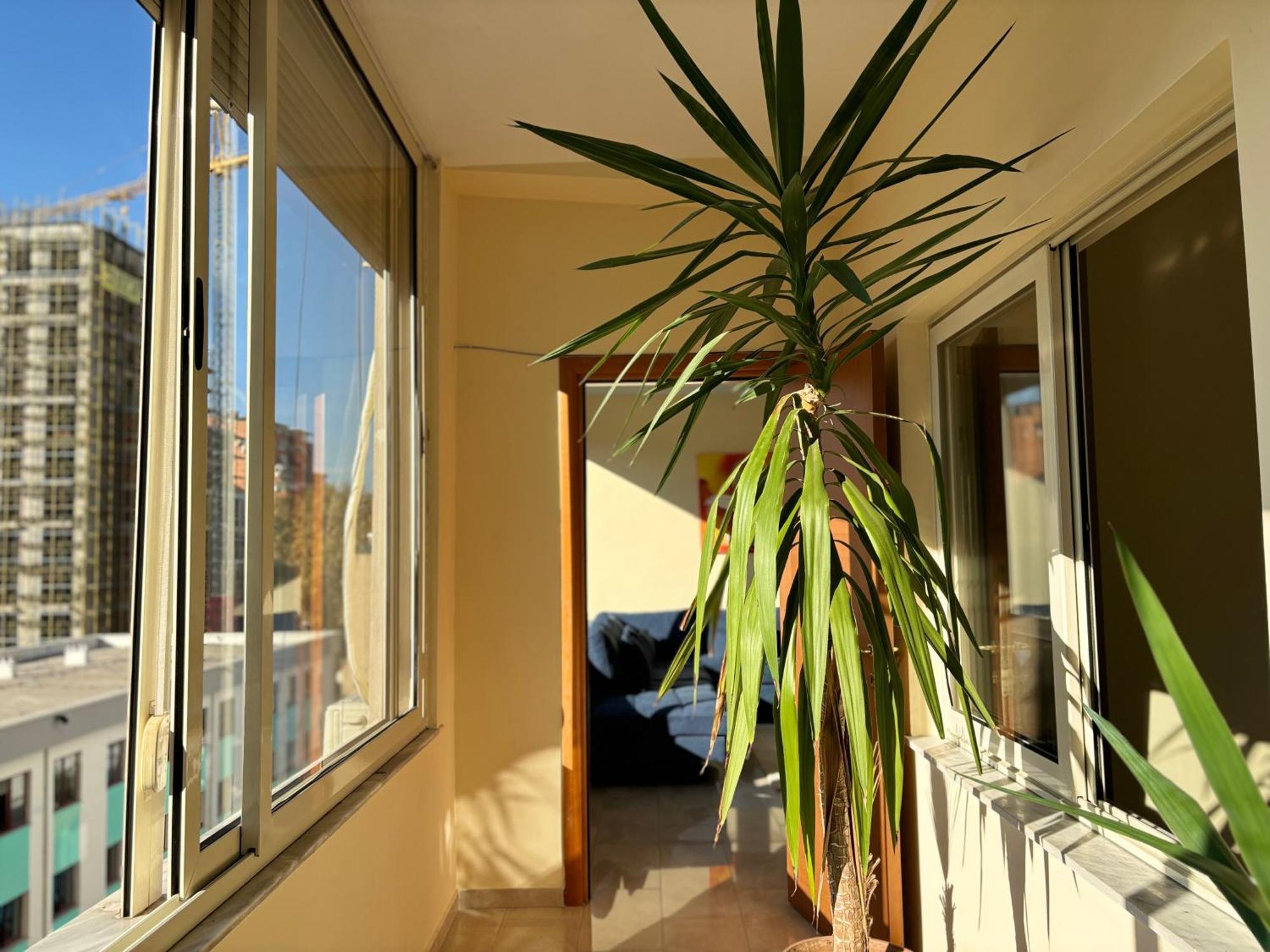 טיראנה Tam 2Bdr Center Taiwan Apartment מראה חיצוני תמונה